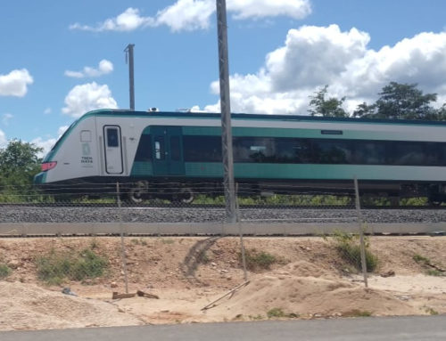 Inician pruebas locomotoras del Tren Maya en el tramo de Valladolid, Yucatán
